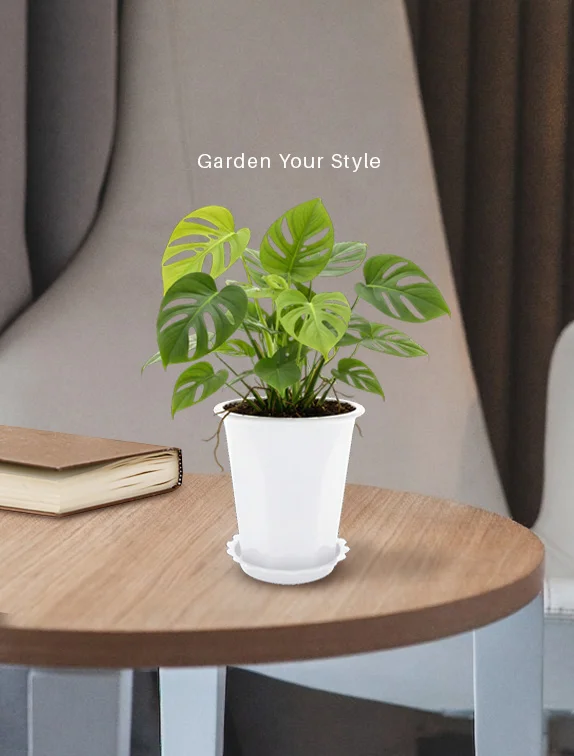 GARDENING Collection