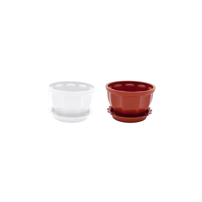CARNATION Flower Pot w/ Botton Plate (S)