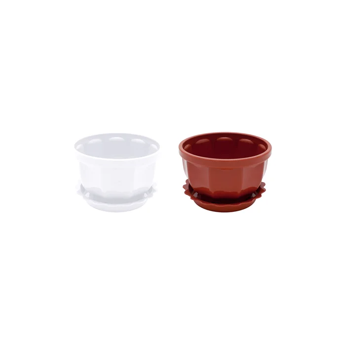 CARNATION Flower Pot w/ Botton Plate (M)