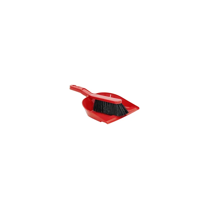 PALOMA Carpet Brush w/ Dustpan Set