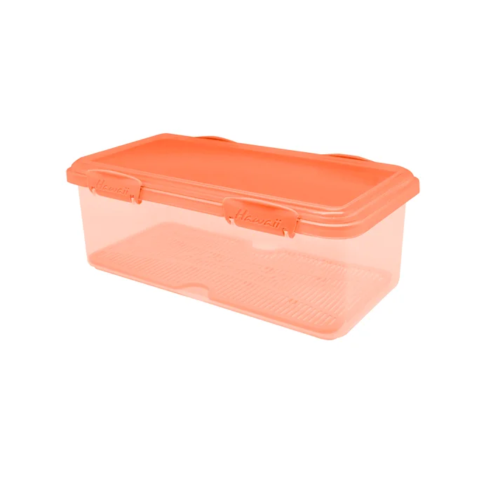 FRESH & GO Sealware (3300 ml)