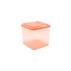 8097-PEACHwebp