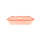 8191-K-PEACHwebp
